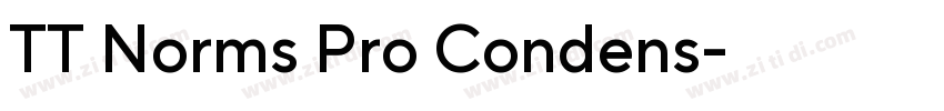 TT Norms Pro Condens字体转换